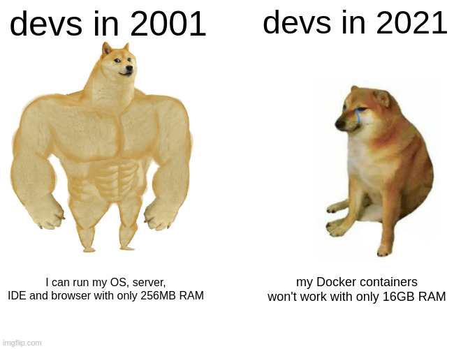 Devs in 2001